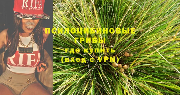 бошки Армянск