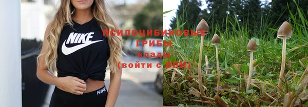 бошки Армянск