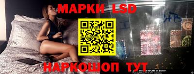 шишки Донской