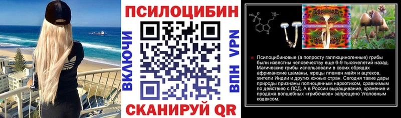 Псилоцибиновые грибы Psilocybe  Нарткала 