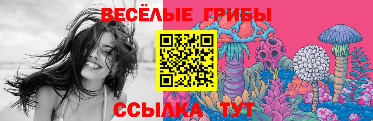 Псилоцибиновые грибы Magic Shrooms Нарткала